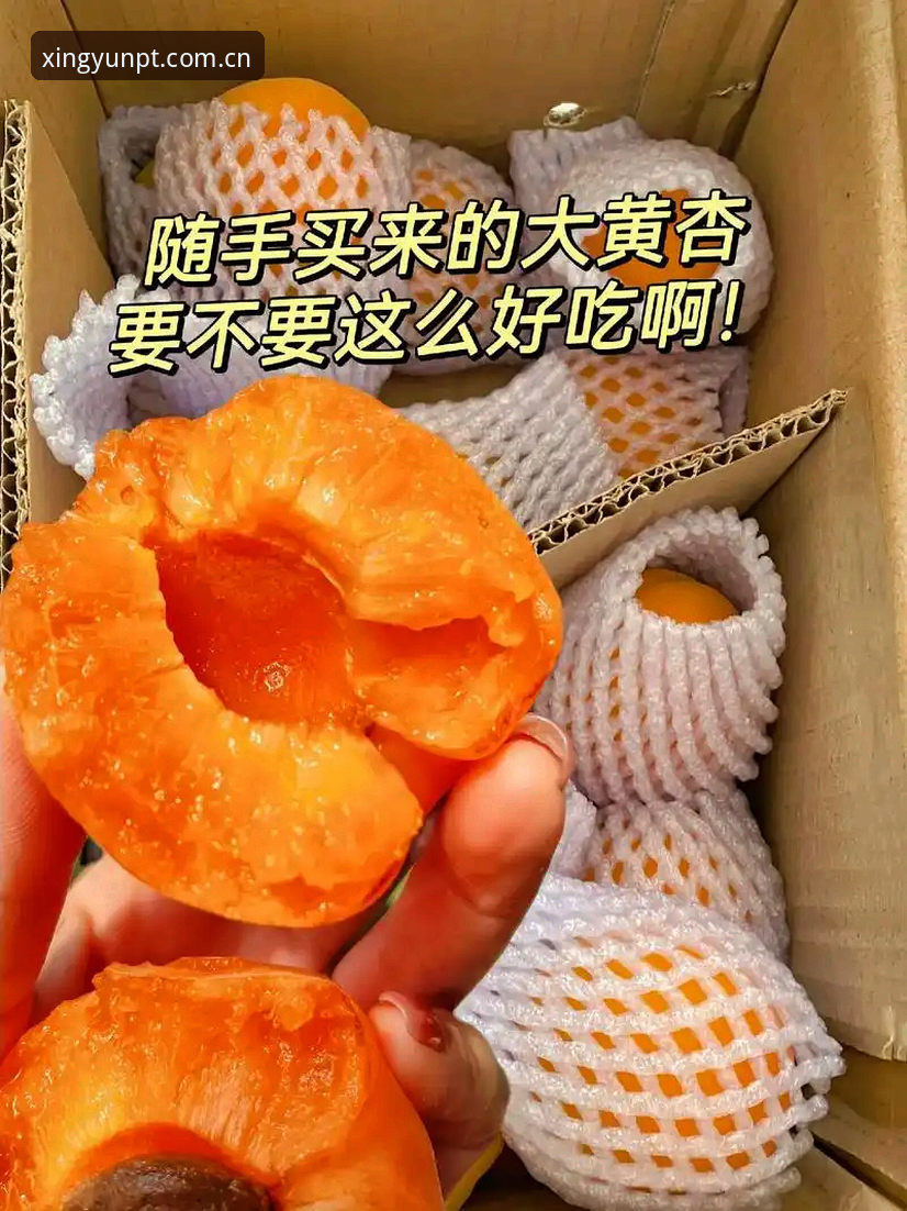 杏运平台正版哪个好 3大标准帮你判断杏运平台正版哪个好
