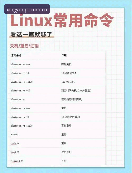 杏运平台注册与使用教程：从入门到精通的全方位指南